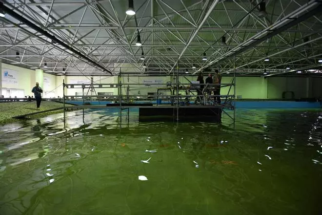 La investigación reporta casi ocho millones de euros anuales a la Universidade da Coruña
