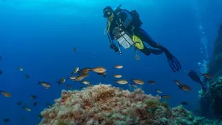 La Reserva Marina dels Freus se amplía en 5.600 hectáreas y se conectará con la de sa Creu