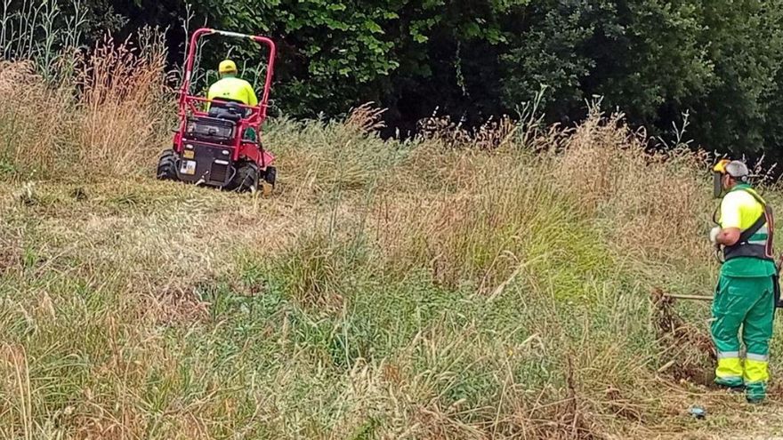 Trabajos en zonas verdes, desde el jardín botánico a Los Olivos | LA OPINIÓN