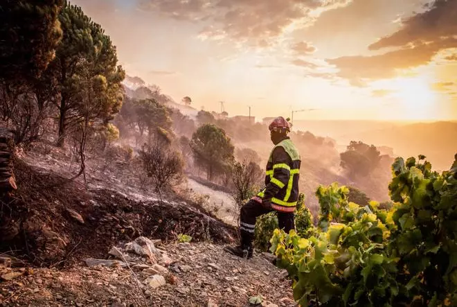 Incendi a Banyuls