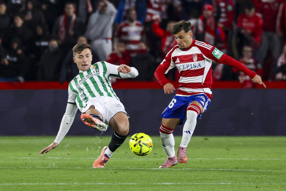 Alberto del Moral durante el encuentro entre el Córdoba CF y el Granada de esta temporada.