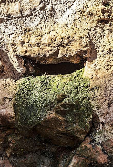 Detalle de un vertido de aguas fecales en la muralla.