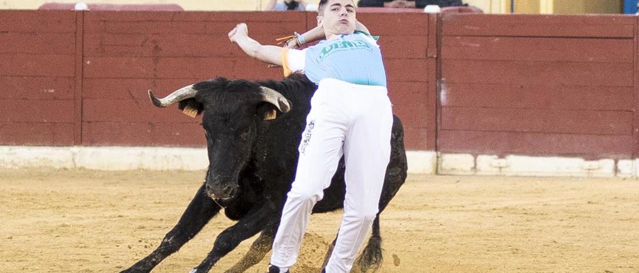 Chiva crea una ruta del toro de cuerda