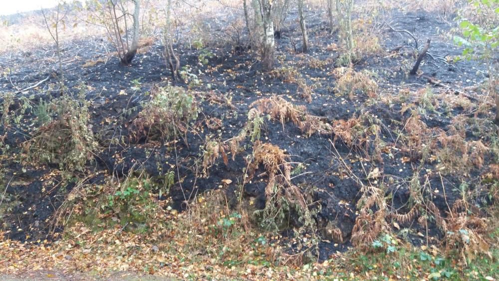 Cangas del Narcea tras los incendios