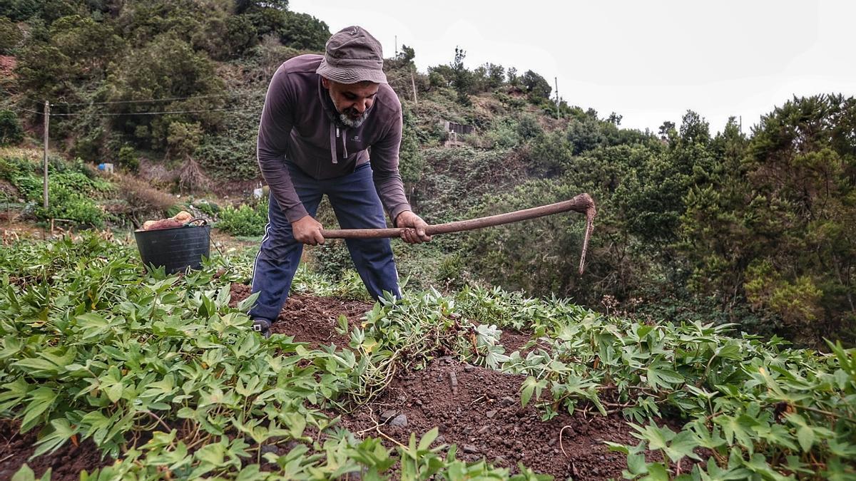 Trabajador del sector de la agricultura, el segundo grupo con más incidentes.