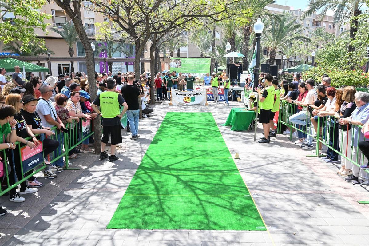 XIV Campeonato de lanzamiento de hueso de dátil de Elche, en imágenes