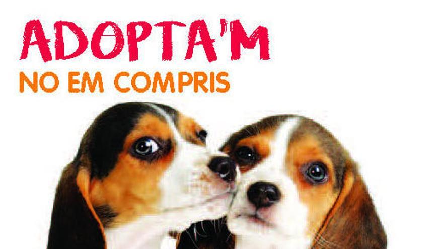 Roses recomana l&#039;adopció d&#039;animals de companyia amb responsabilitat