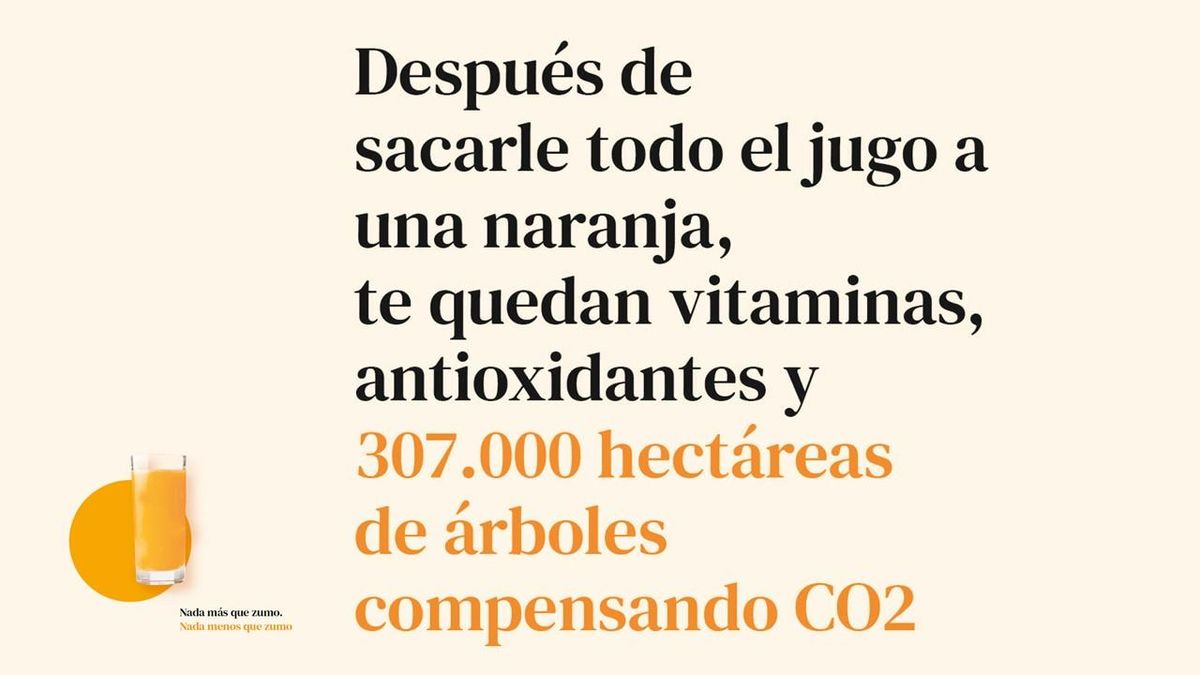 Sostenibilidad en el proceso de producción