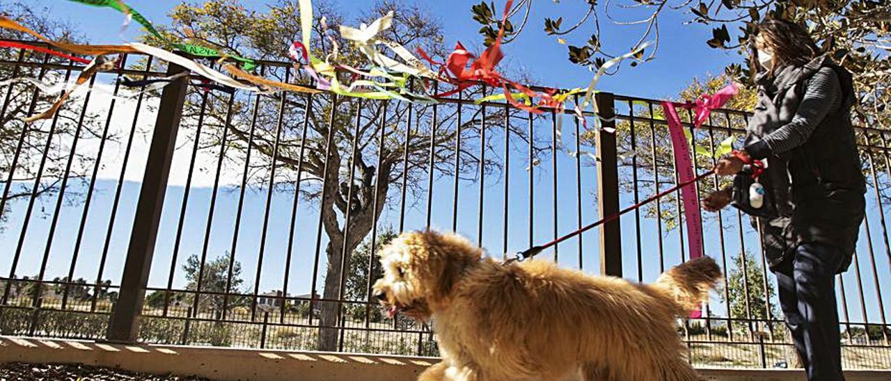 Una mujer pasea con su perro por un parque canino.