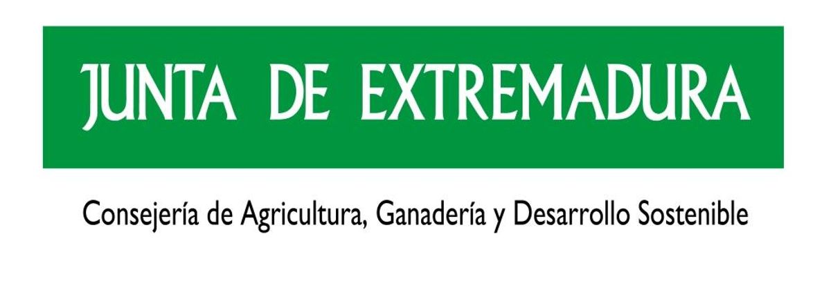 JUNTA DE EXTREMADURA