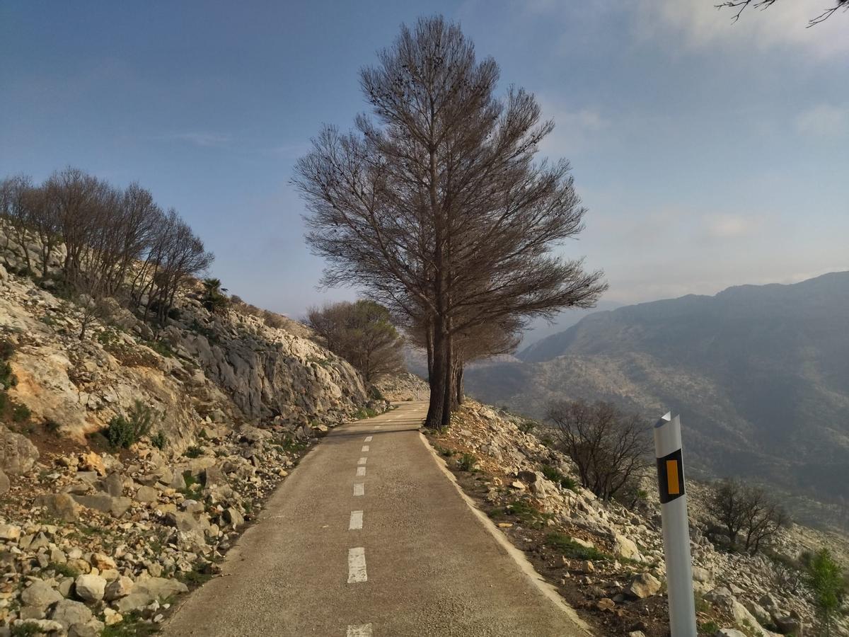 Desolación, erosión y bandadas de cuervos en las laderas del Coll de Rates arrasadas hace 8 meses por el fuego (imágenes) Desolación, erosión y bandadas de cuervos en las laderas del Coll de Rates arrasadas hace 8 meses por el fuego (imágenes)