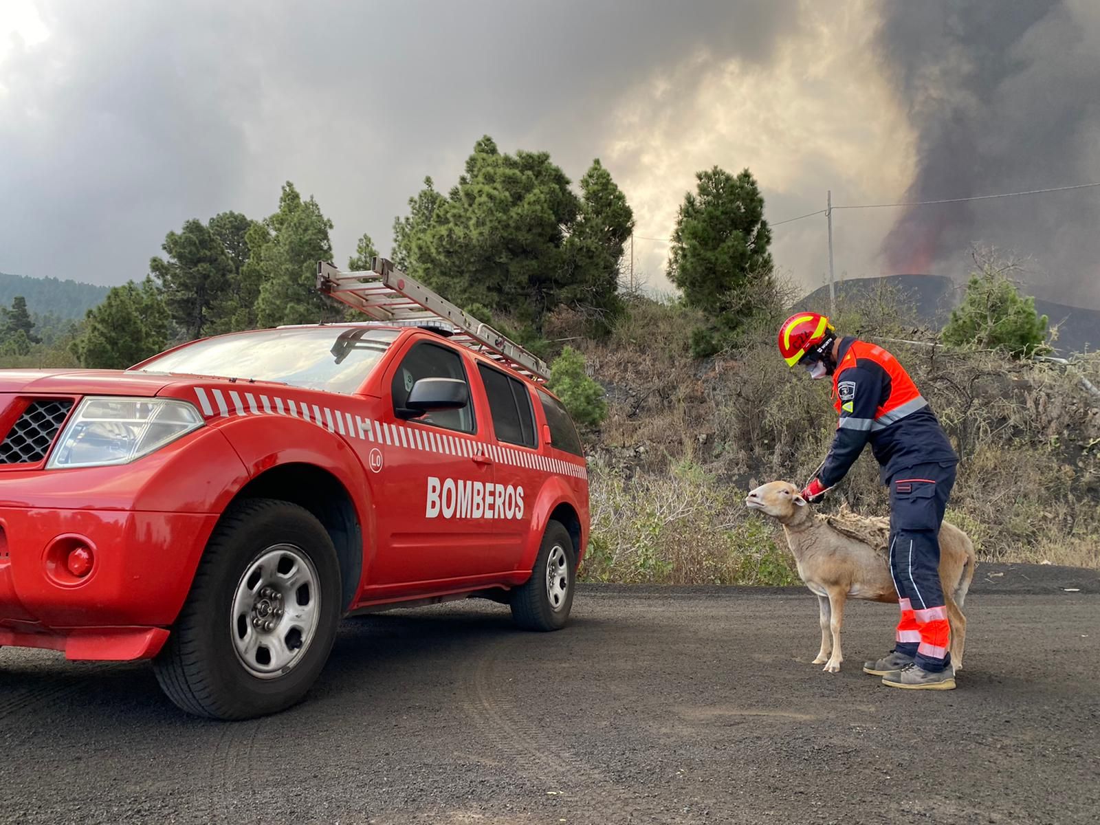 Erupción volcánica: Ayuda de los bomberos de Lanzarote en La Palma