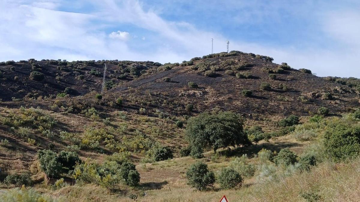 Una de las zonas afectadas por el incendio forestal declarado este domingo en Espiel.