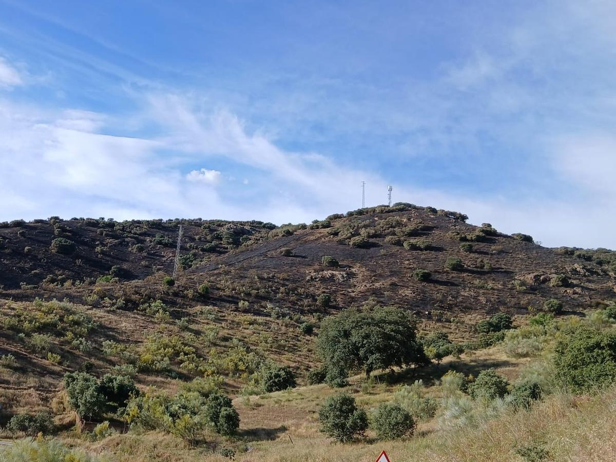 Una de las zonas afectadas por el incendio forestal declarado este domingo en Espiel.