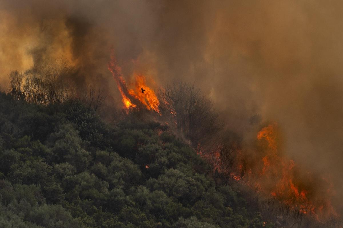 Un incendio forestal en Vilardevós el pasado verano.