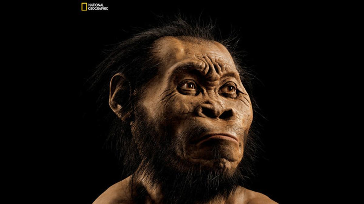 Homo naledi