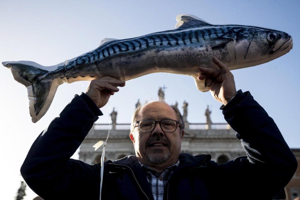 Más de 40.000 'sardinas' se manifiestan en Roma