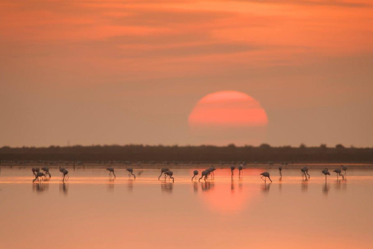 Delta del Ebro