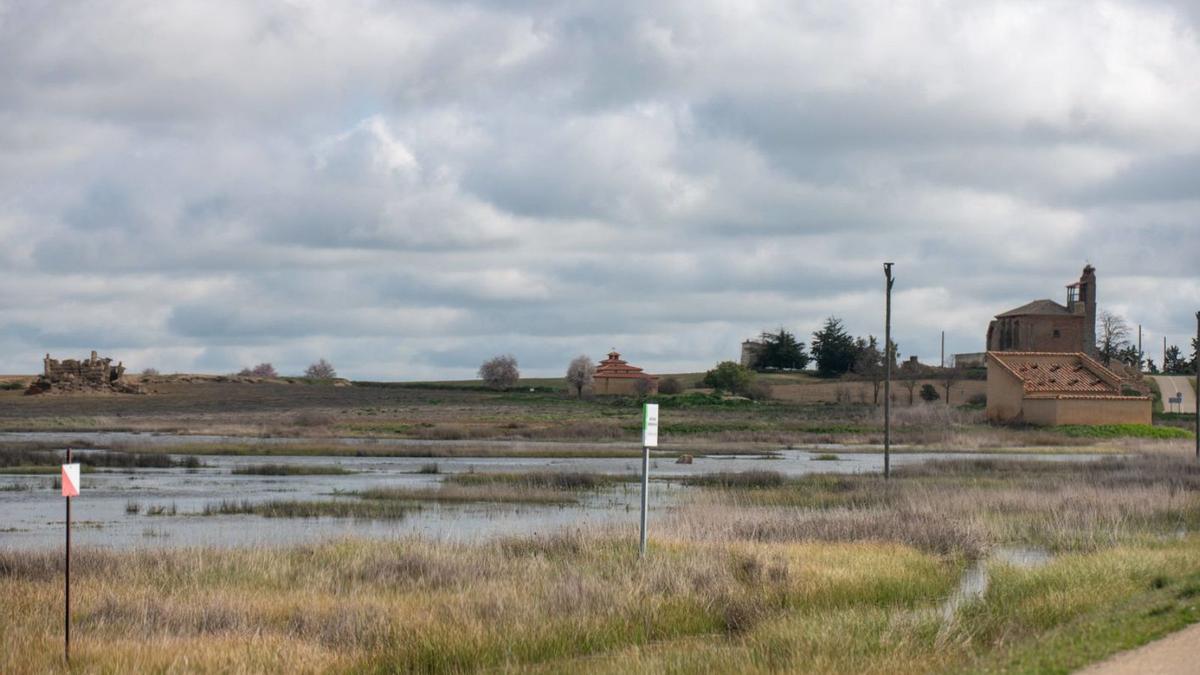 El pueblo de Otero de Sariegos, al fondo de la imagen,  junto a las Lagunas de Villafáfila. | M. A. L. (ARCHIVO)