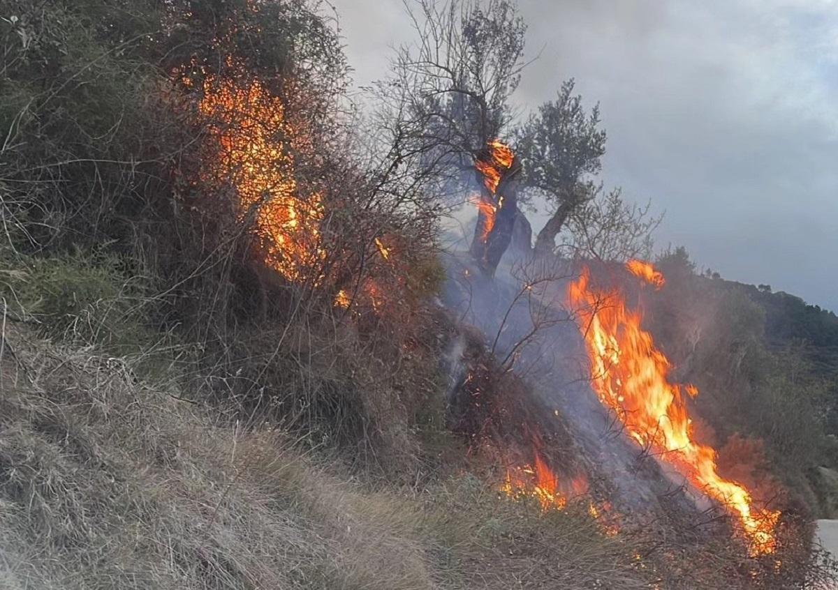 Fuego en Bocairent.