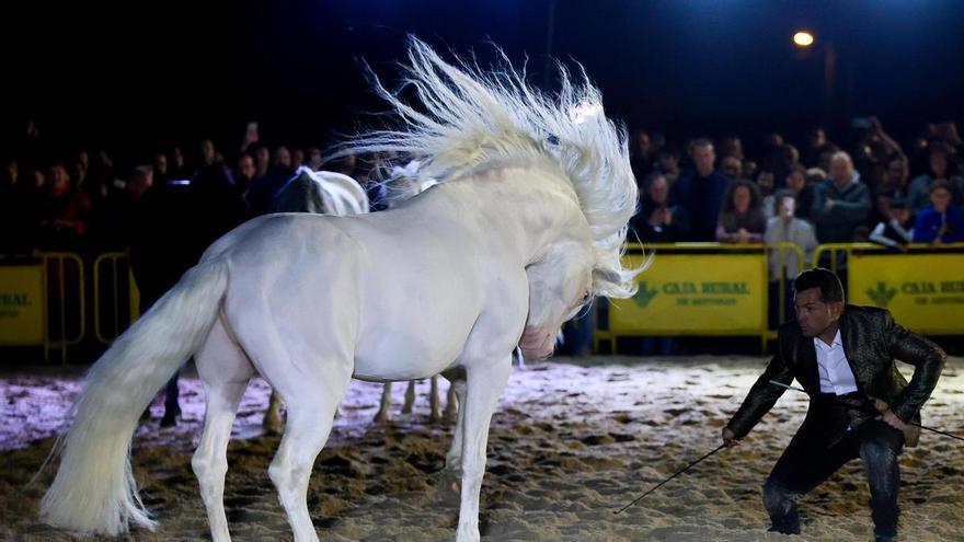 La magia de los caballos enamora en la noche de Llanera: así fue el espectacular festival de arte ecuestre por San Isidro