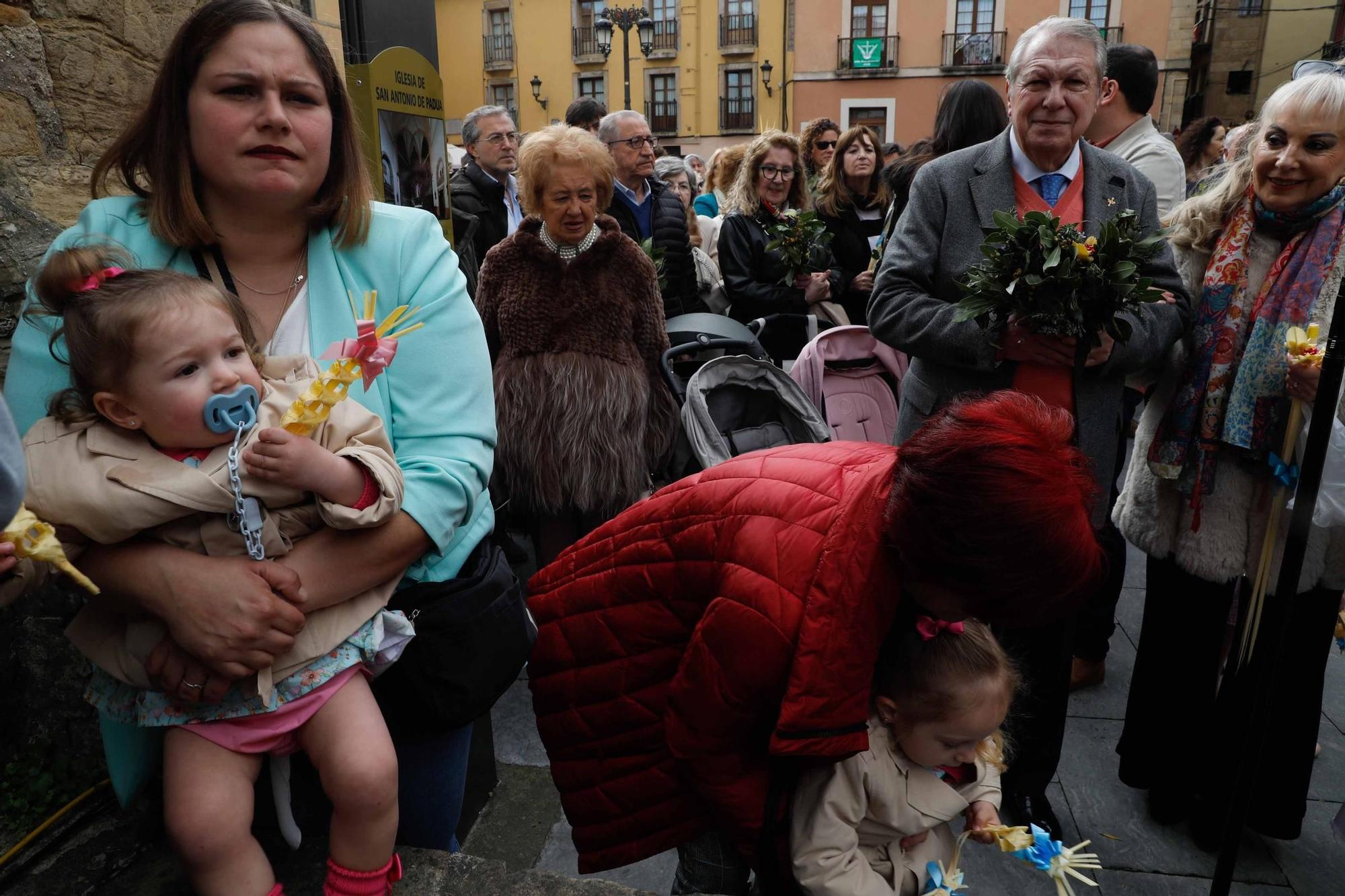 Multitudinaria bendición de ramos y procesión de La Borriquilla en Avilés