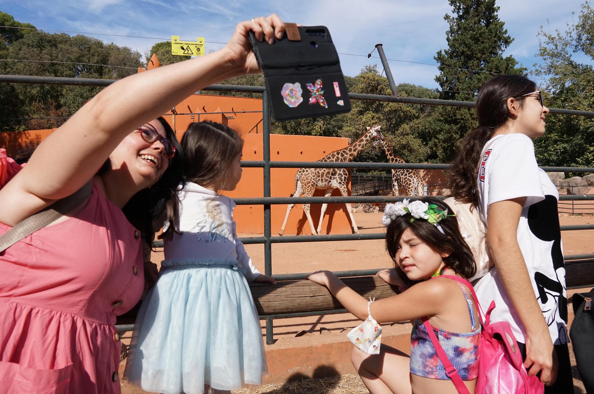 Día festivo en el Zoológico de Córdoba