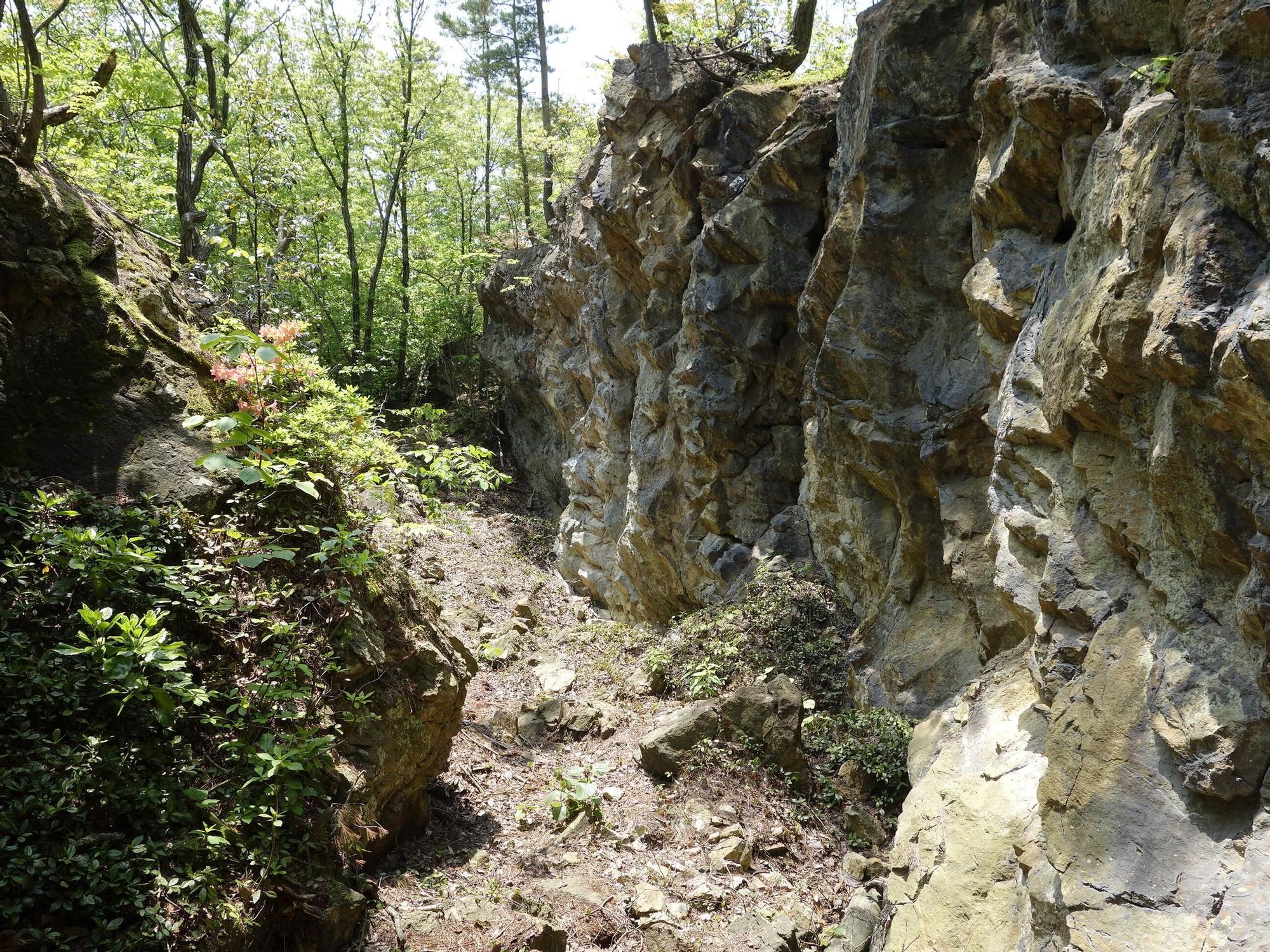 Sitio de explotación a cielo abierto de Tete-no-Warito