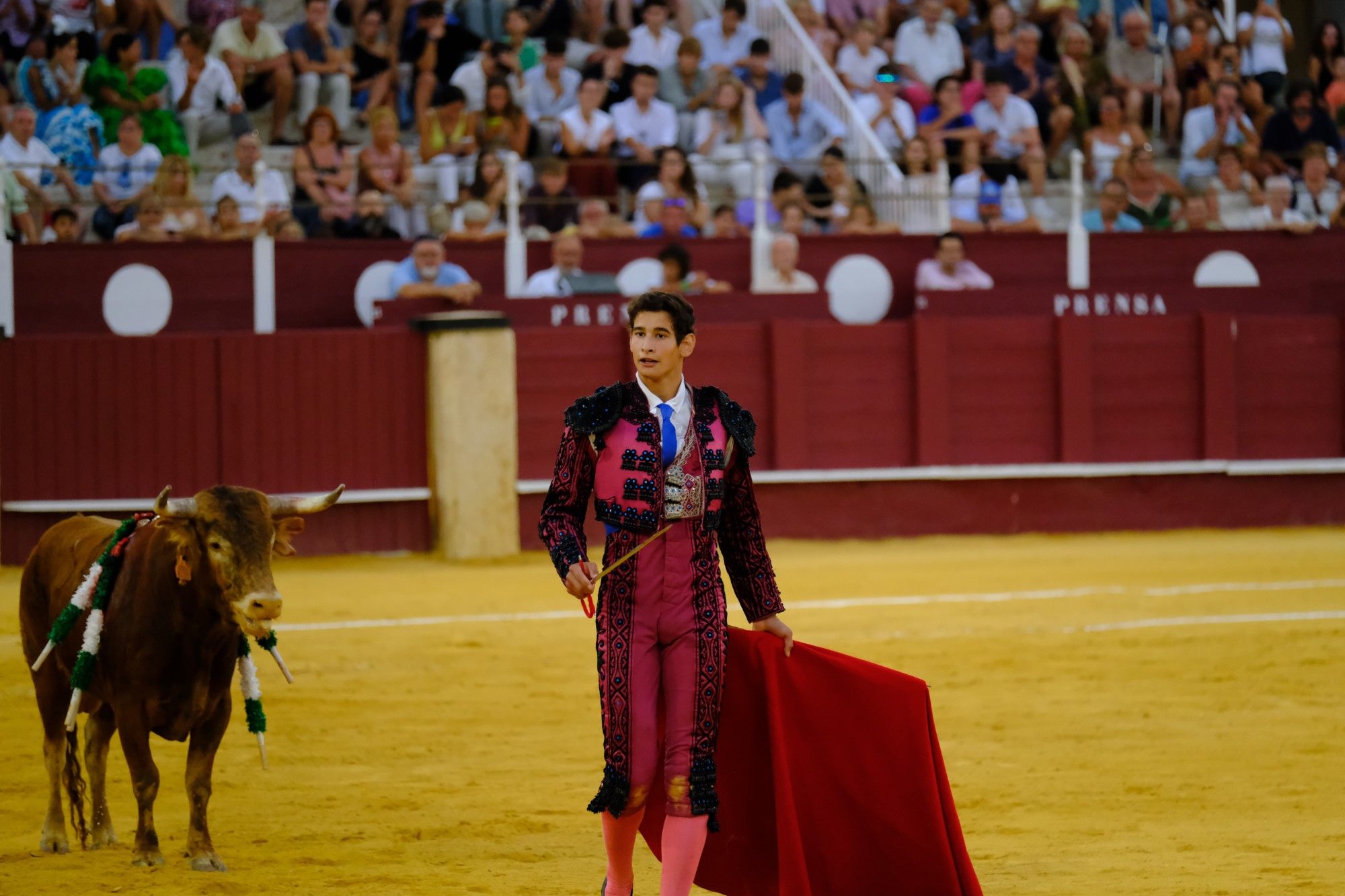 Toros en la Feria | Novena corrida de abono en La Malagueta: 3ª Semifinal de las Escuelas Taurinas