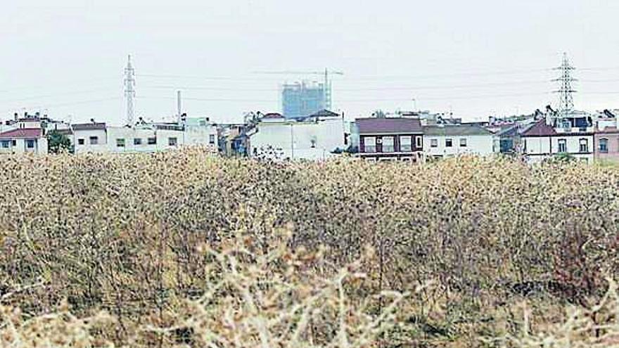 Avanzan los trámites para crear otro de los barrios de la carretera de Trassierra