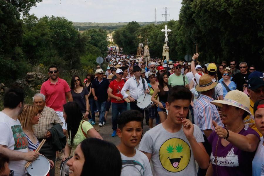 Romería de la Virgen del Castillo en Fariza