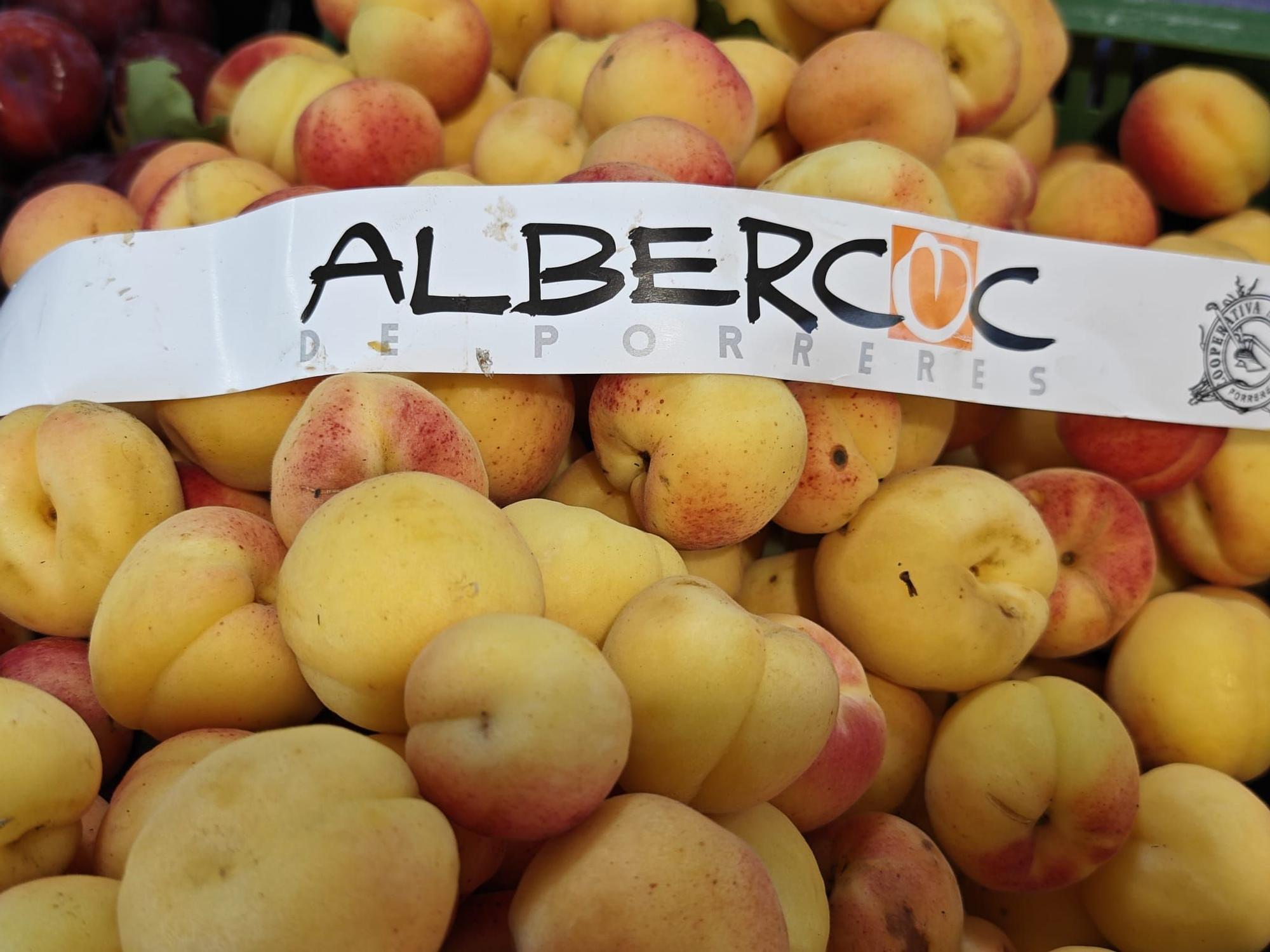 FOTOS | La campaña de albaricoques de Porreres, en imágenes