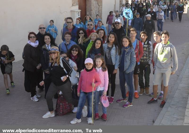 GALERÍA DE FOTOS - Romería Magdalena 2014 (7)