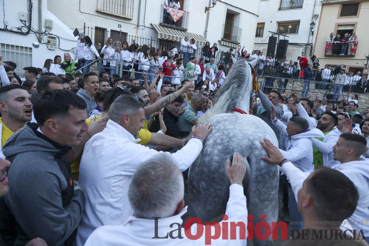 Entrega de premios del concurso de 'Caballo a pelo' en Caravaca