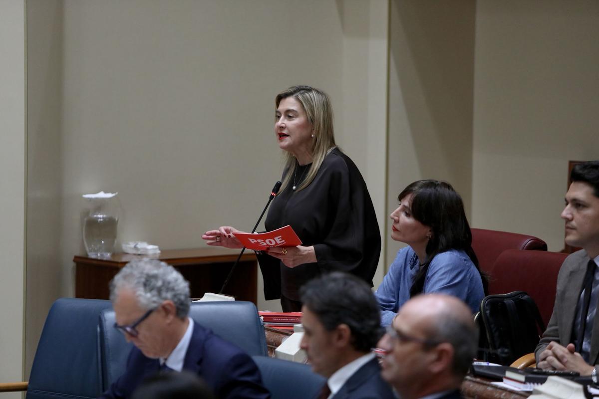 Carmina Fernández, portavoz del Grupo Socialista.
