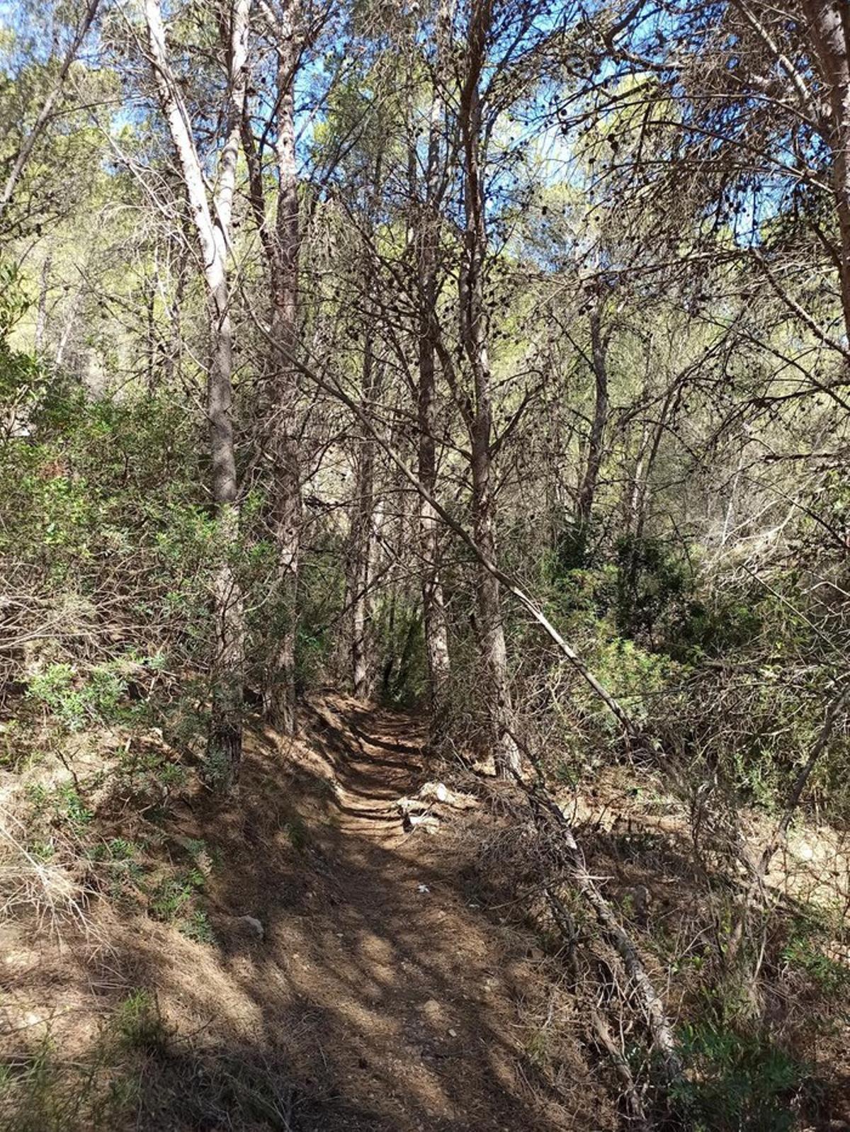 Una imagen difundida por el PP para denunciar la falta de mantenimiento de los parques naturales. En este caso, en la Serra Gelada.