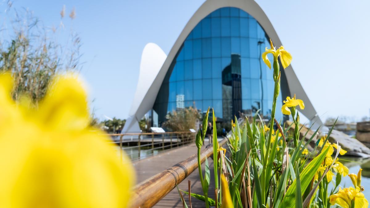 Exterior de l'Oceanogràfic.
