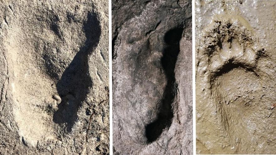 &#039;Lucy&#039; no andaba sola: unas huellas muestran el paso de un homínido hasta ahora desconocido