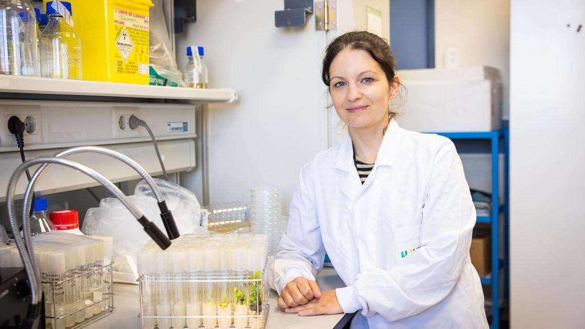 Sandra Izquierdo Zandalinas, al laboratori de l'UJI.