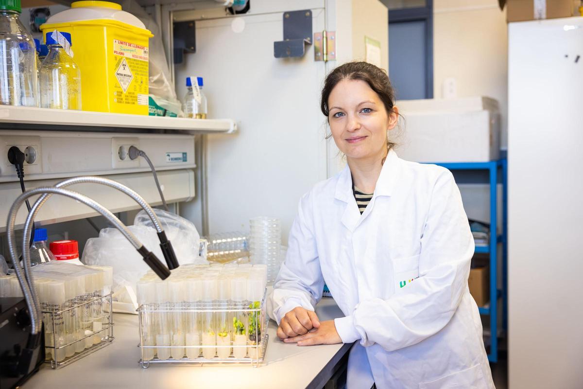 Sandra Izquierdo Zandalinas, al laboratori de l'UJI.