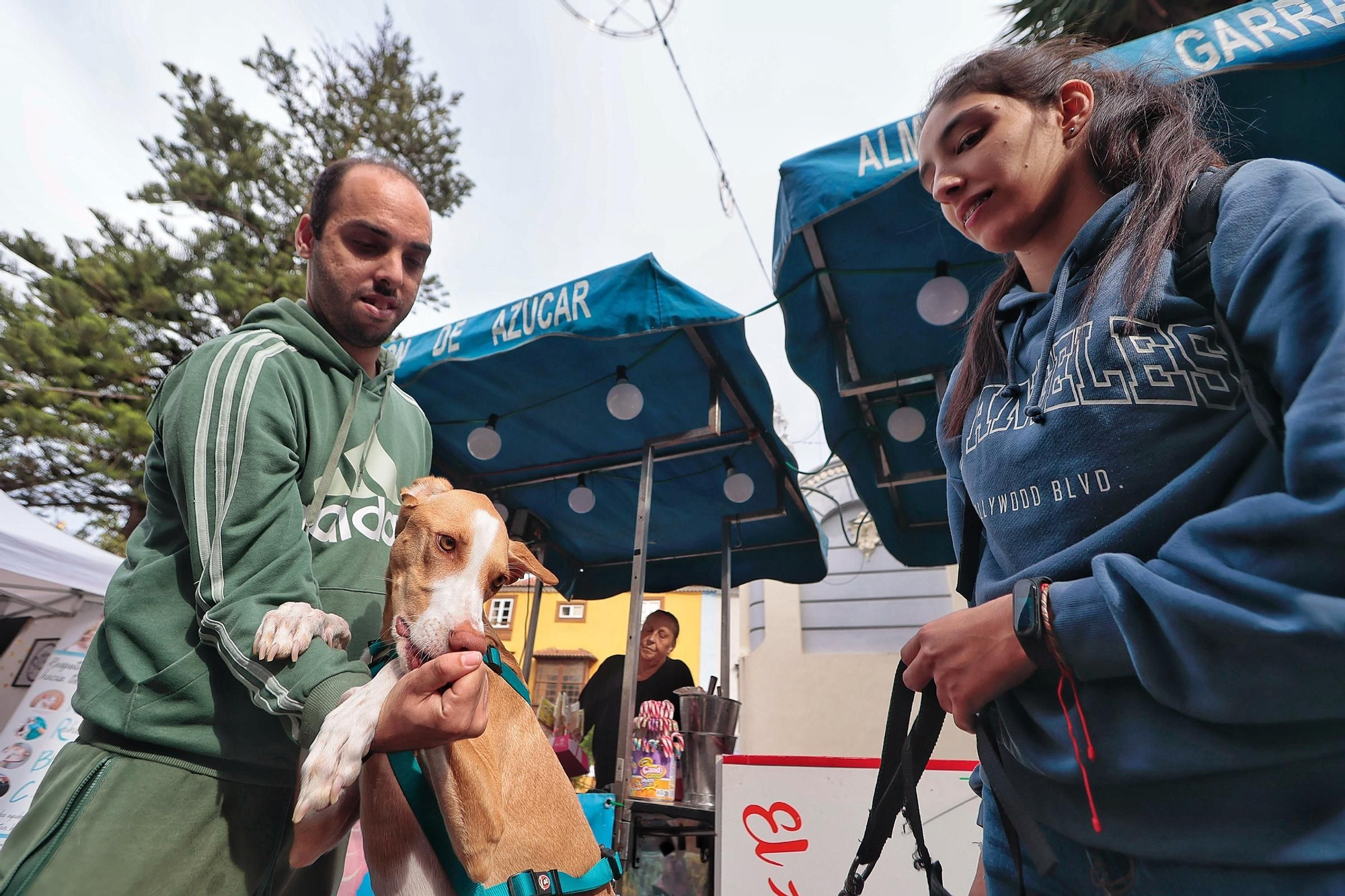 Feria de la Adopción Responsable de Animales de Compañía