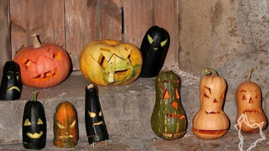 Calabazas propias del Somontano