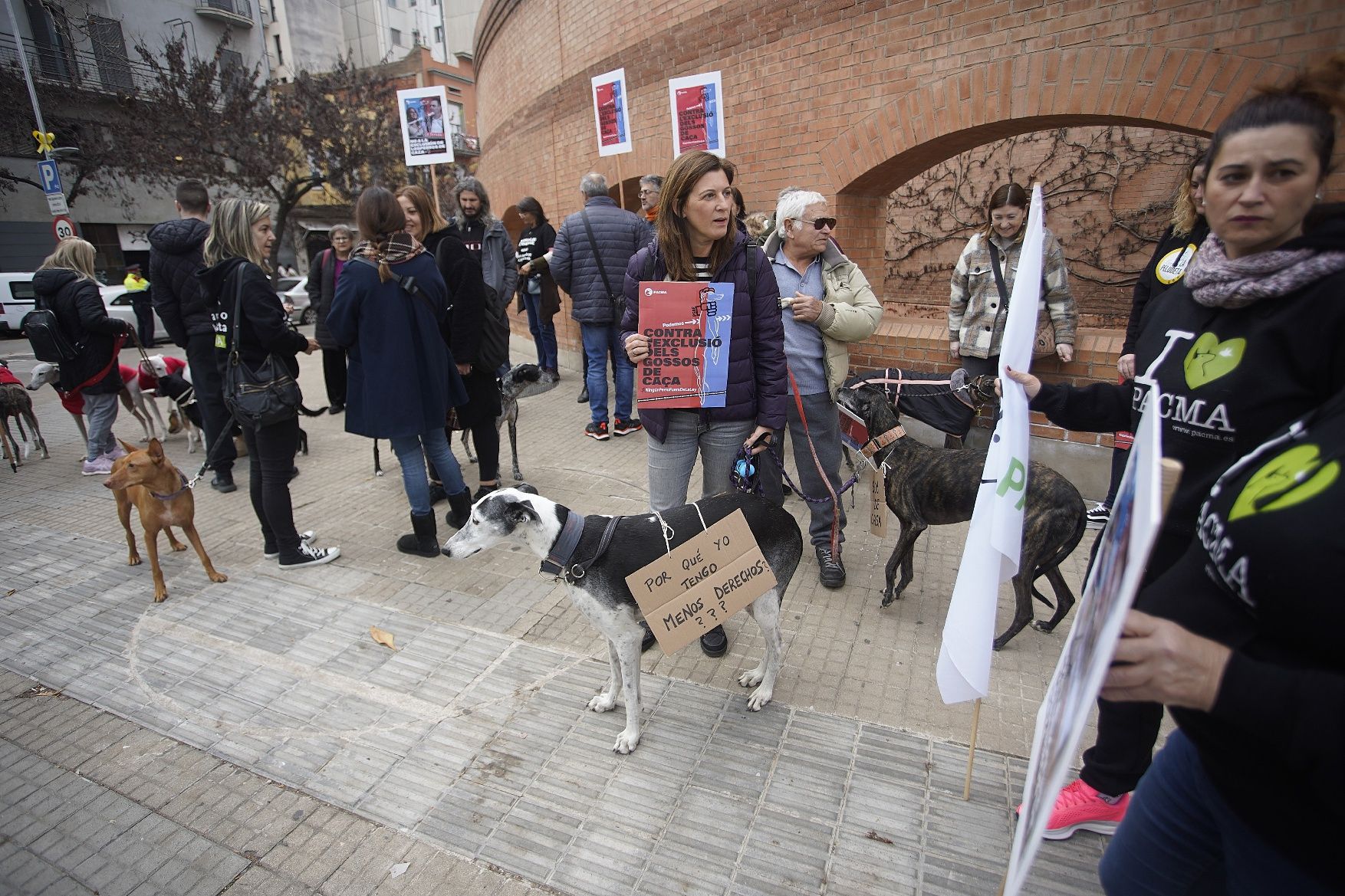 Concentracions del PACMA a Girona per reclamar incloure els gossos de caça a la llei de protecció animal