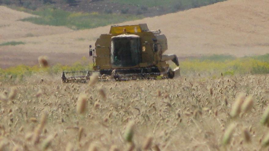 Comienza la recolección de cereales en Córdoba con una disminución en la producción por la climatología