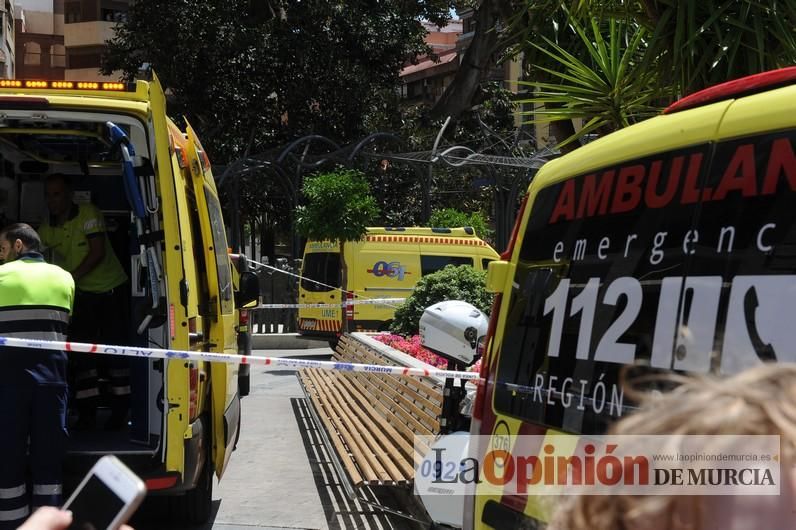 Cae parte del ficus de Santo Domingo en Murcia