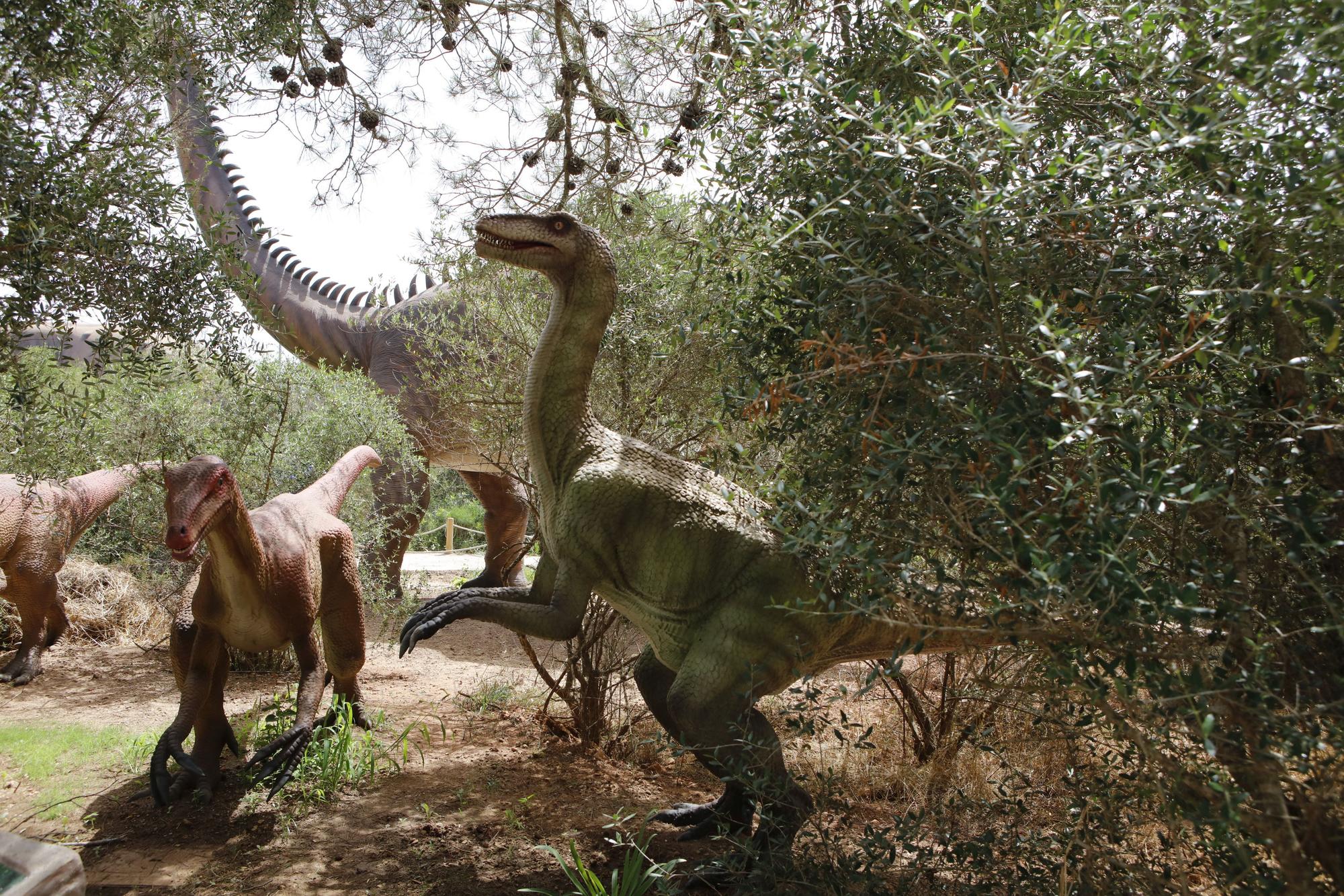 Besuch im neuen Dino-Park auf Mallorca