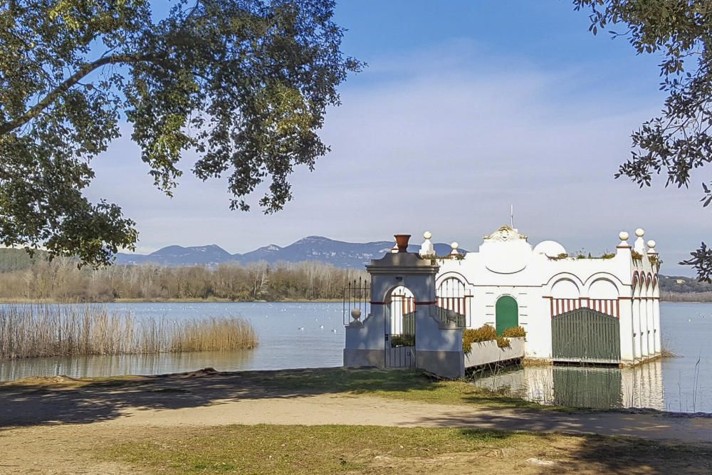 Limnos prepara un inventari dels arbres de l'estany de Banyoles