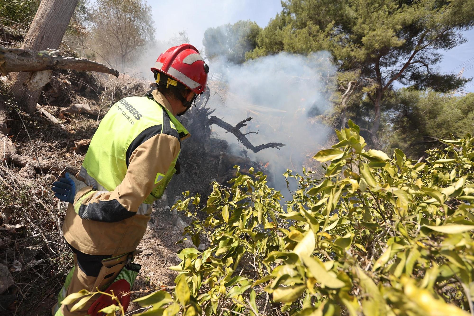 Galería de fotos del incendio forestal en el río Millars entre Vila-real y Almassora