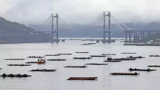 Un problema en el fondo de las bateas