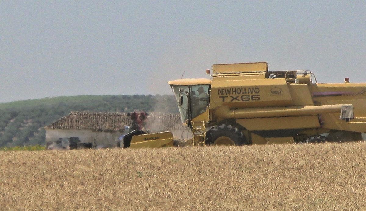 Trabajos mecanizados de siega en una explotación de cereal en una finca de Córdoba. Al fondo, olivos en pendiente.